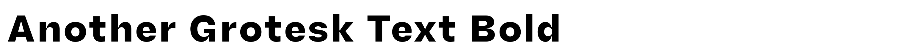 Another Grotesk Text Bold